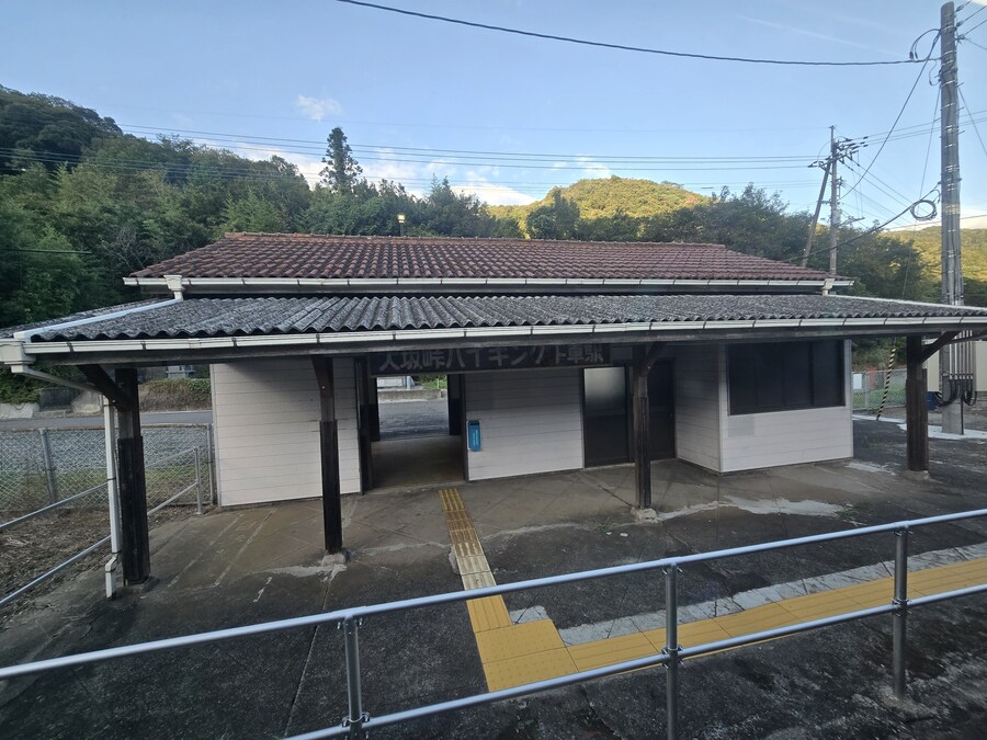 일본 가서 발견한 거대 그리마 jpg_4.jpg