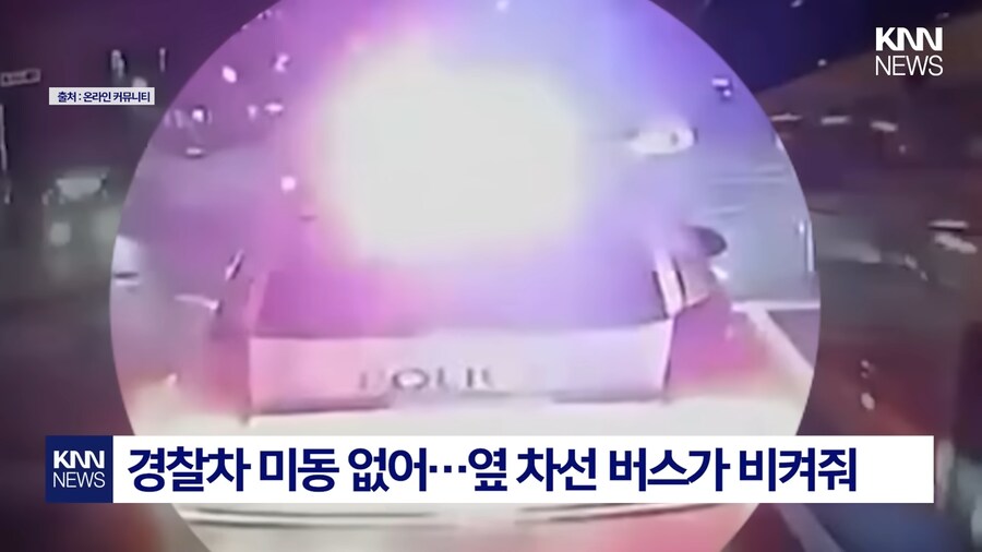 반도국의 흔한 민중의 곰팡이.jpg_1.png