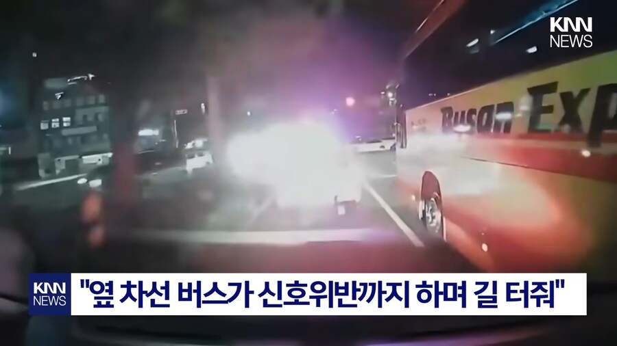 반도국의 흔한 민중의 곰팡이.jpg_4.png