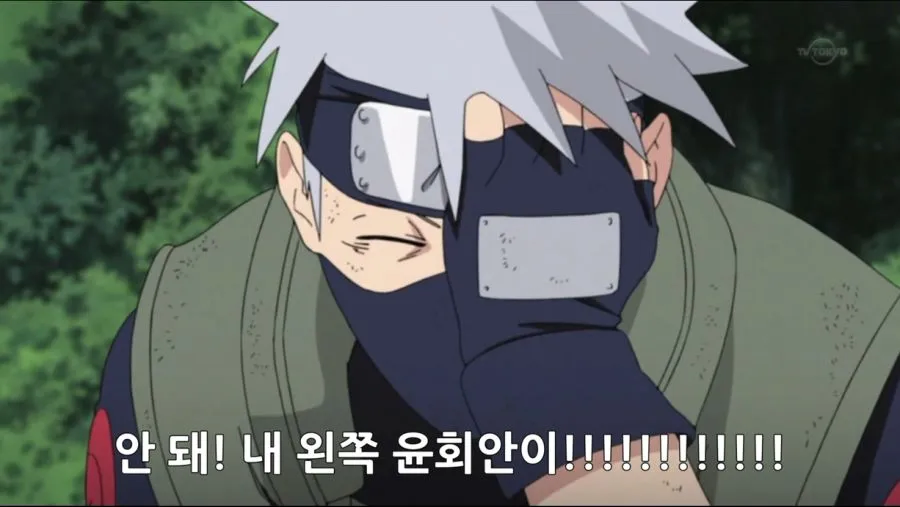 원나블)밈에 절여진 캐릭터 좋아하는 사람의 슬픔_2.webp