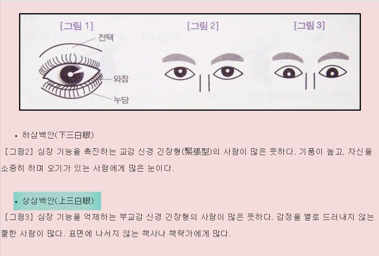 관상은 과학이다_2.png