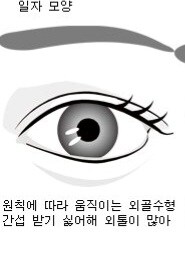 관상은 과학이다_4.jpg
