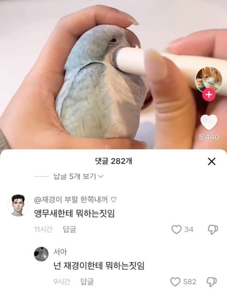 앵무새 한테 뭐 하는 짓이야!_1.jpg