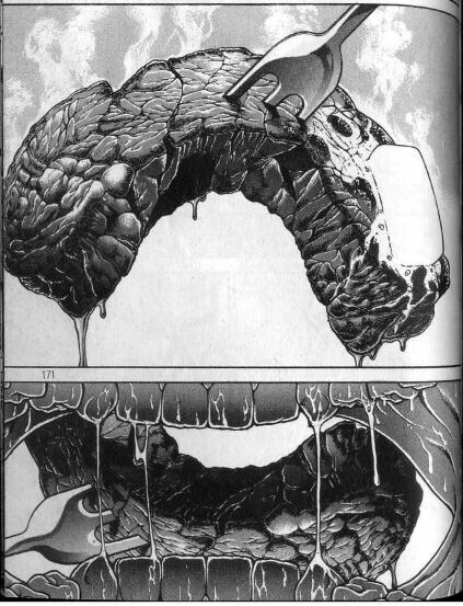 의외로 바키 독자들도 인정하는 사실.jpg_6.jpg