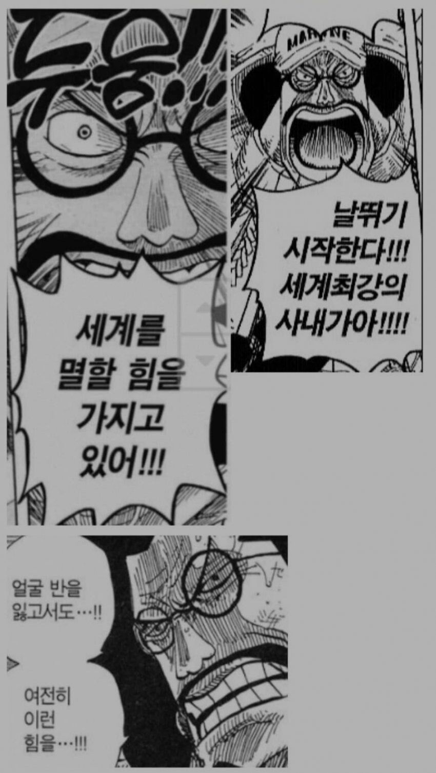 원피스 누구보다 흰수염을 고평가하는 사람_1.jpg