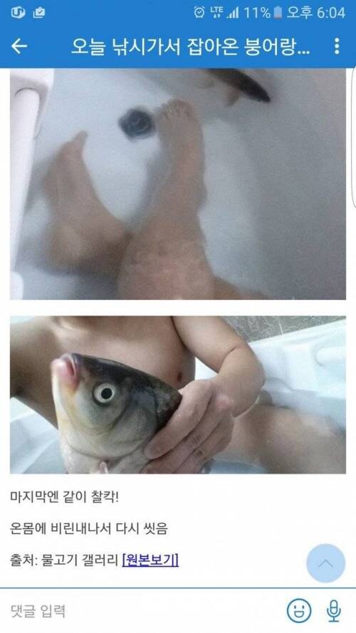 낚시해서 잡은 붕어와 목욕.jpg_1.jpg