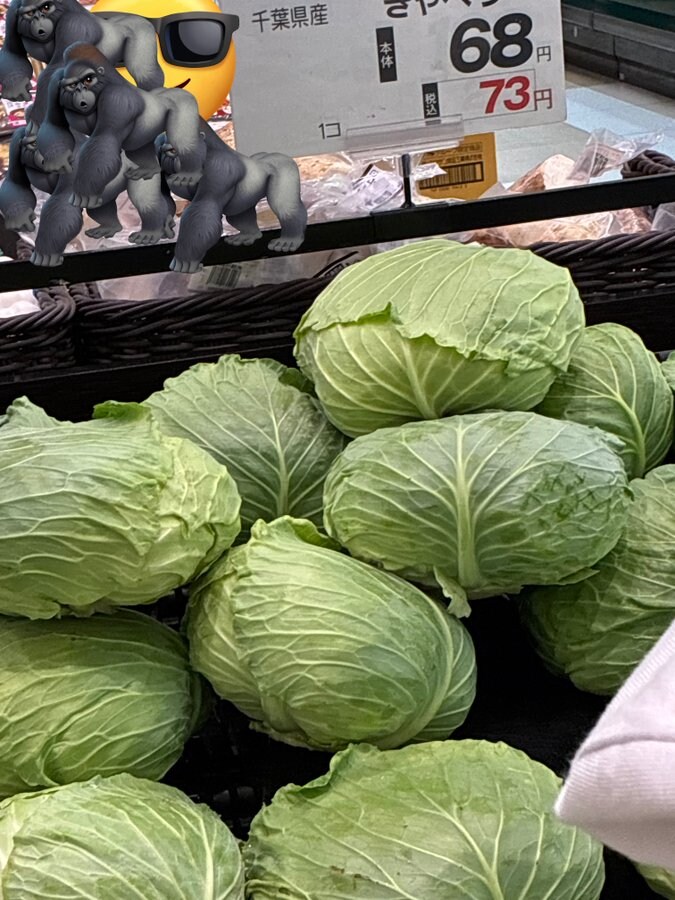 일본에서 양배추가 서민의 상징인 이유_1.png