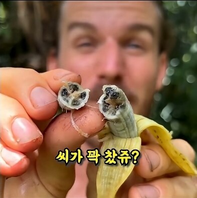 개량되지 않은 야생의 야채들_3.jpg