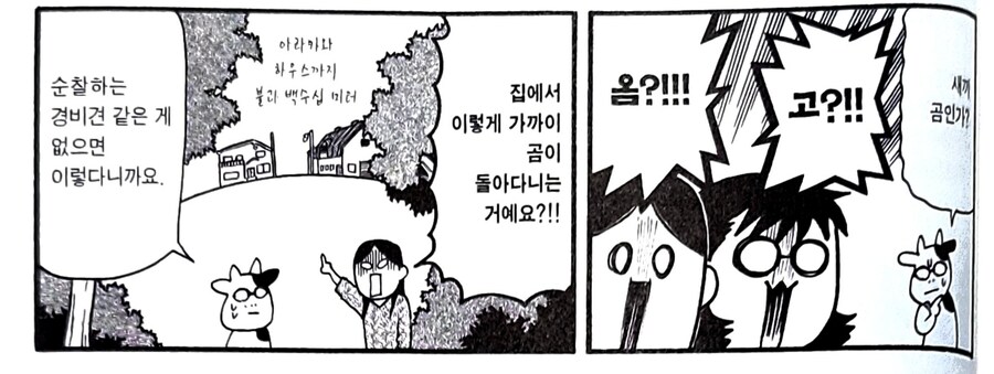 운좋게 대자연에게 죽지 않고 살아있는 삶_2.jpg