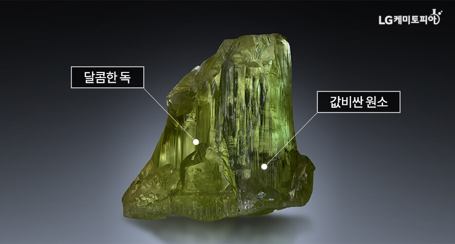 의외로 당뇨환자들이 절대 먹으면 안되는 것_1.jpg