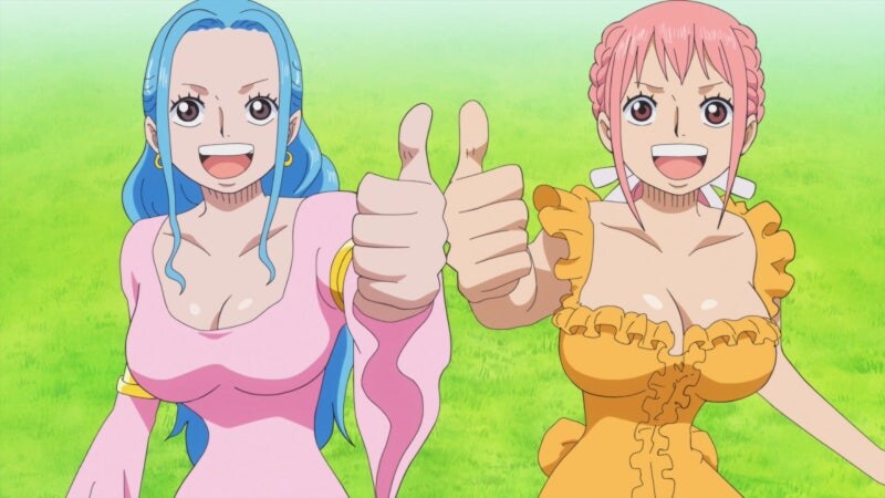 원피스 의외로 모르는 사람이 많은 비비의 설정_2.jpg