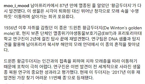 87년만에 발견된 항금두더지..._5.jpg