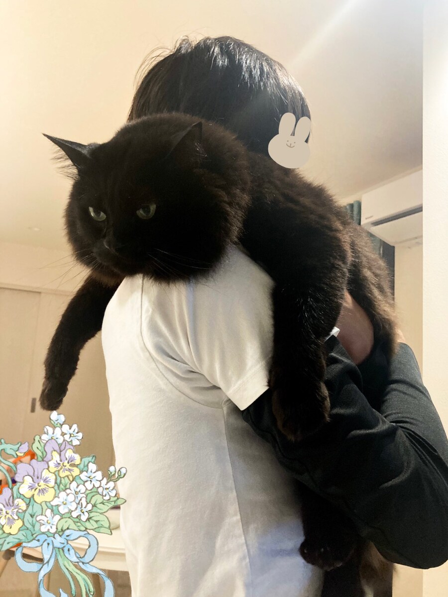 주인에게 안겨 기분좋은 6.3kg 고양이‍⬛_2.jpg