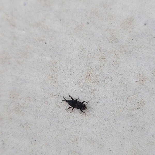 방어력에 스텟 몰빵찍은 벌레.jpg_3.jpg