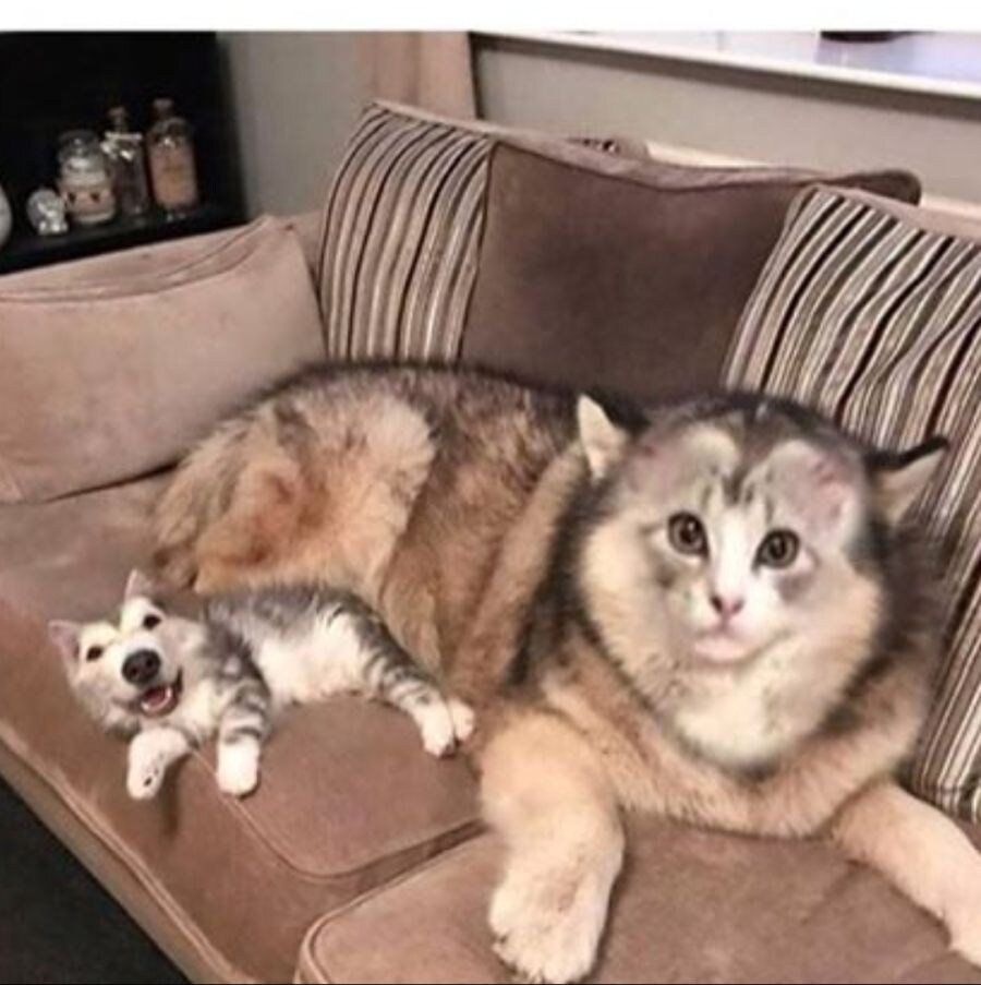 외모 체인지_1.jpg