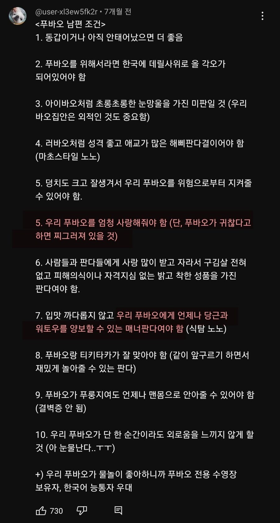 푸바오 관심 가짜광기 진짜광기.jpg_1.jpg