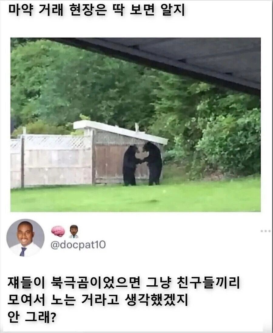 검은곰들의 수상한 거래현장_1.jpg