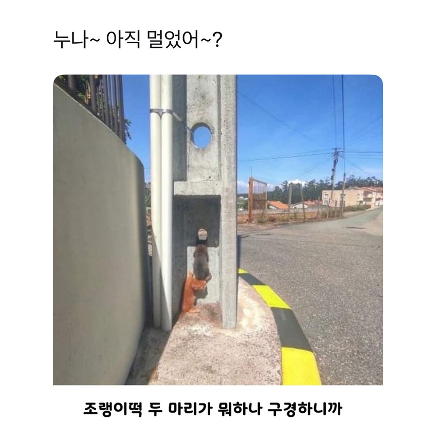 누나 아직 멀었어? 나도 볼래~~_1.jpg