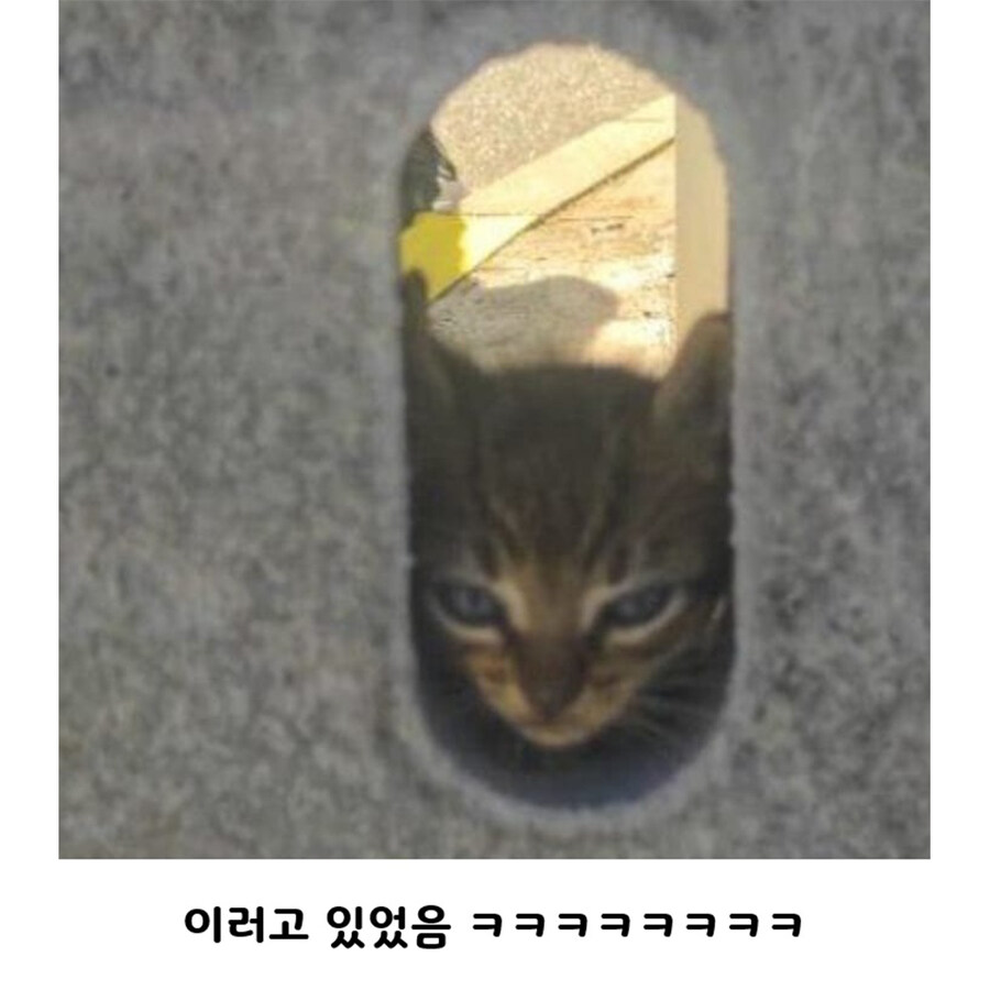누나 아직 멀었어? 나도 볼래~~_3.jpg