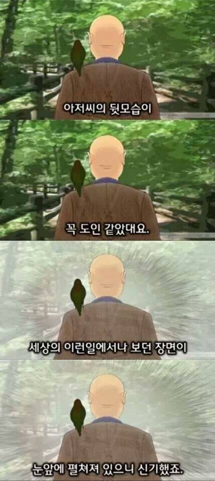 등산하다 만난 어깨에 새를 올리고 다니는 도인 ㄷㄷㄷㄷ_2.jpg