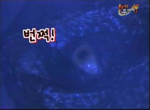 원로 개그맨들이 예능에서 티라노의 발톱을 미친듯이 언급한 이유_5.jpg