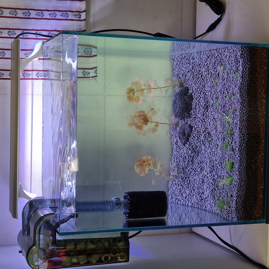 ???: 히히 멋진 수초 어항이 되겠지?_1.jpg