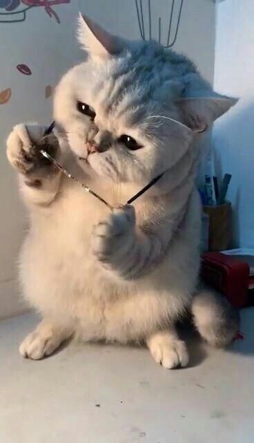 ???: 히히 멋진 수초 어항이 되겠지?_7.jpg