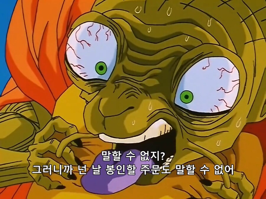 드래곤볼 특.JPG_1.png