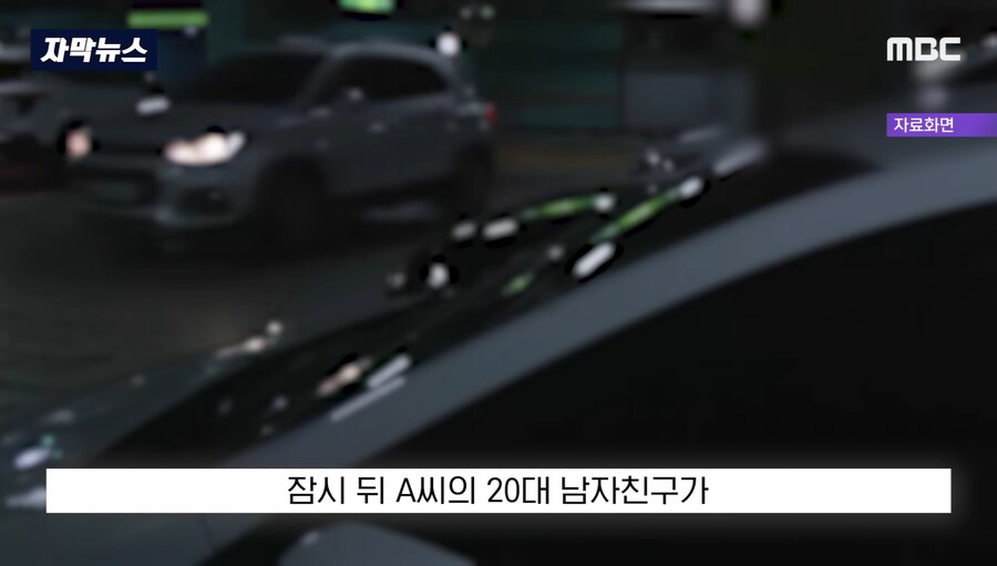 우리집 개가 당신보다 비싸다_8.jpg