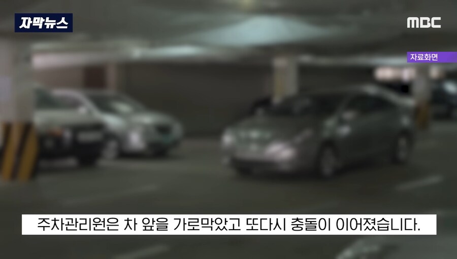 우리집 개가 당신보다 비싸다_10.jpg