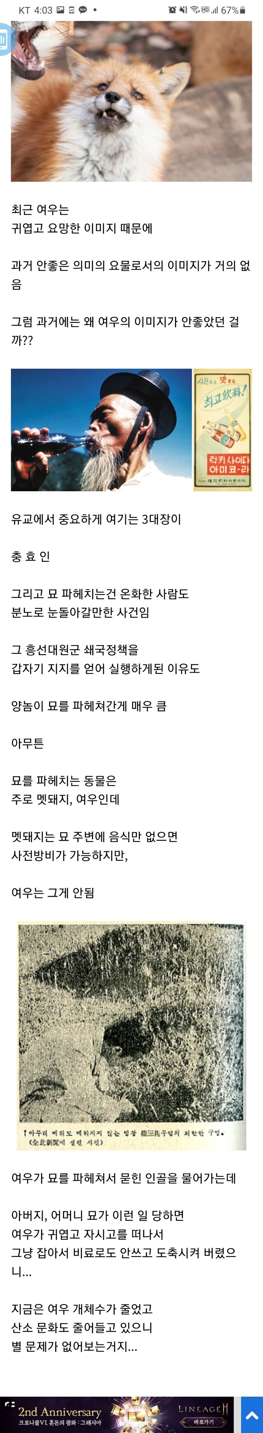 조선시대부터 근대까지 여우 이미지가 안좋았던 이유_2.jpg