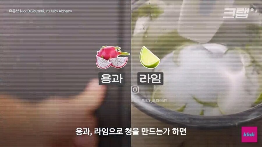 과일청이 미국에서 건강식으로 알려진 이유_5.jpg