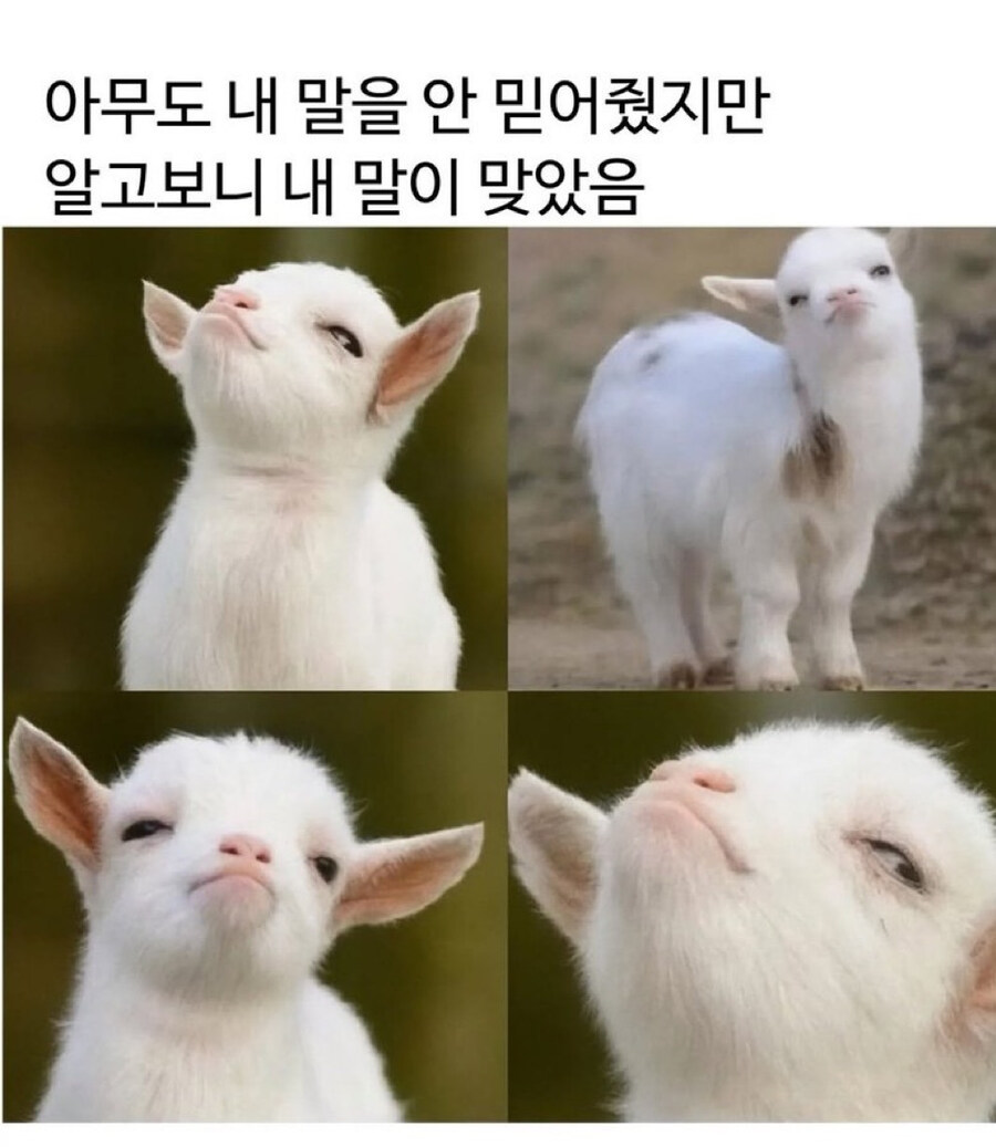 아무도 내 말을 안믿어줬지만 알고보니 내 말이 맞았음_1.jpg