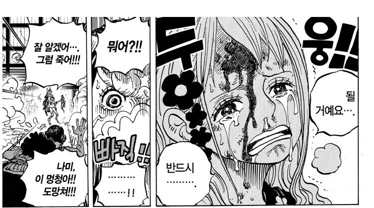 원피스 주인공 파티가 미1친새끼들이라는 증거_8.jpg