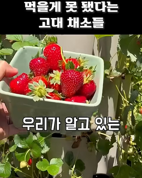 농업에 대하여 언재나 감사해야 하는 이유_4.jpg