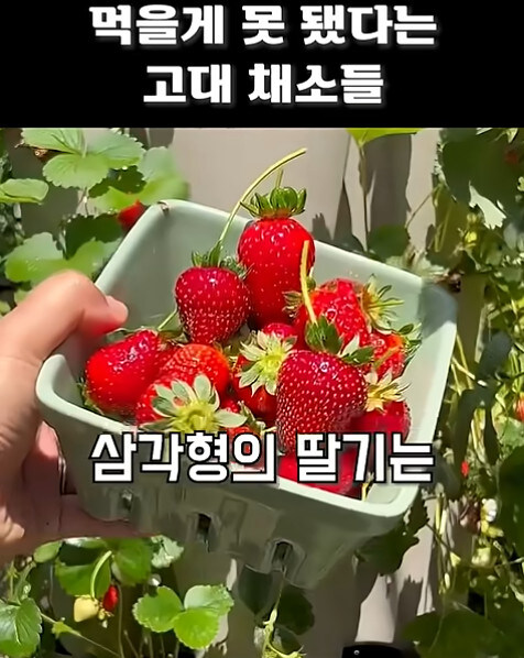 농업에 대하여 언재나 감사해야 하는 이유_5.jpg