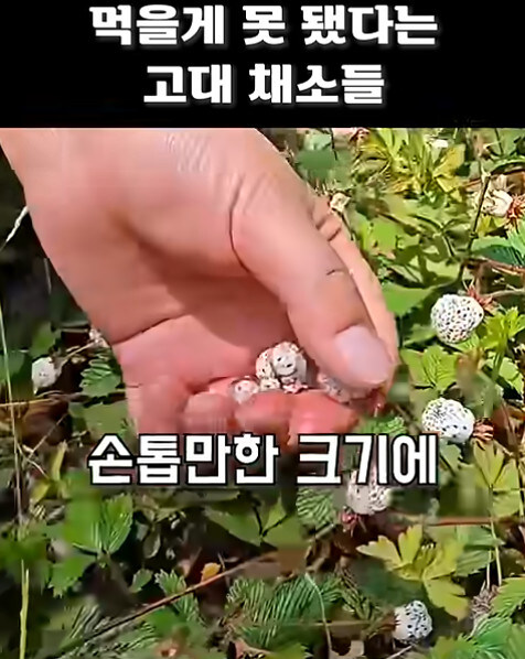 농업에 대하여 언재나 감사해야 하는 이유_6.jpg