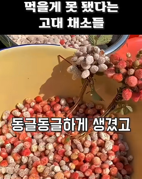 농업에 대하여 언재나 감사해야 하는 이유_7.jpg