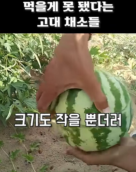 농업에 대하여 언재나 감사해야 하는 이유_9.jpg