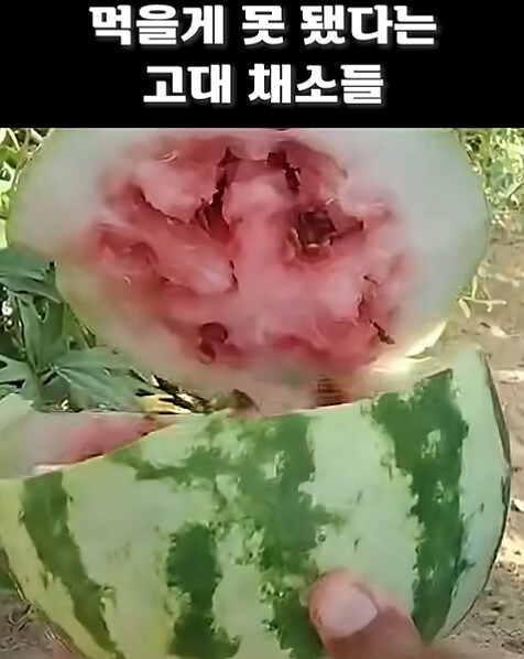 농업에 대하여 언재나 감사해야 하는 이유_10.jpg