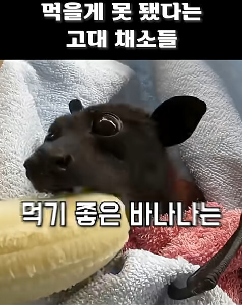 농업에 대하여 언재나 감사해야 하는 이유_11.jpg