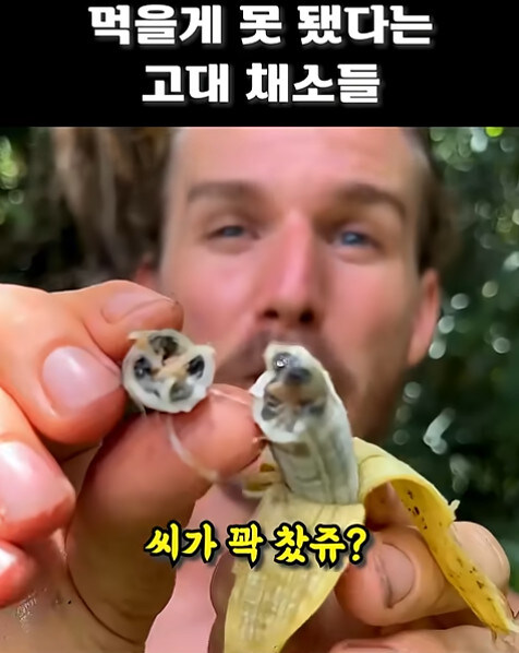 농업에 대하여 언재나 감사해야 하는 이유_12.jpg