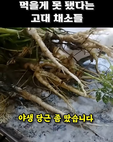 농업에 대하여 언재나 감사해야 하는 이유_15.jpg