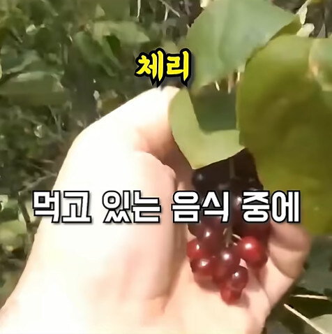 농업에 대하여 언재나 감사해야 하는 이유_21.jpg