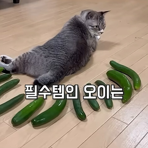 농업에 대하여 언재나 감사해야 하는 이유_16.jpg