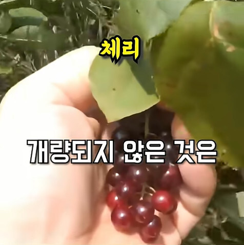 농업에 대하여 언재나 감사해야 하는 이유_22.jpg