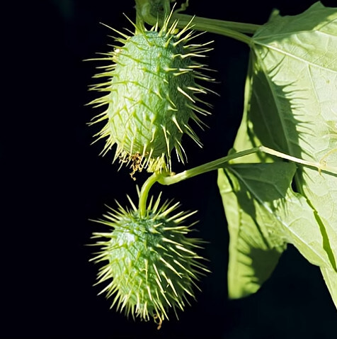 농업에 대하여 언재나 감사해야 하는 이유_17.jpg