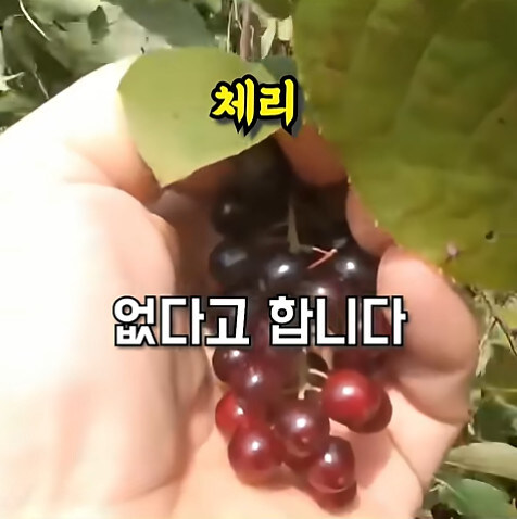 농업에 대하여 언재나 감사해야 하는 이유_23.jpg