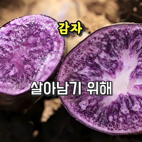 농업에 대하여 언재나 감사해야 하는 이유_18.jpg