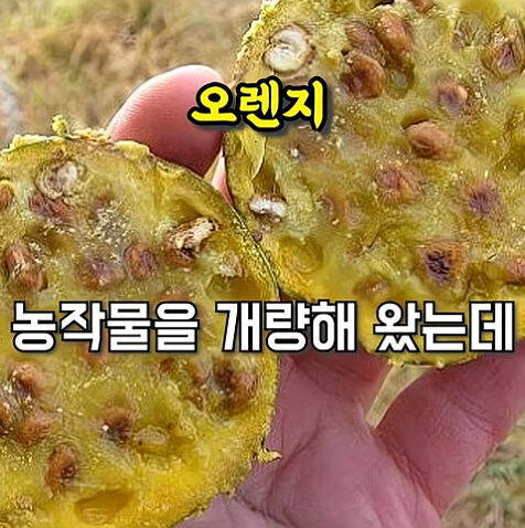 농업에 대하여 언재나 감사해야 하는 이유_19.jpg